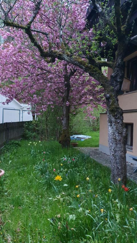 Central Starnberg And Surrounded By Nature Exteriör bild